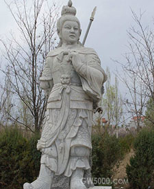 杨文广
